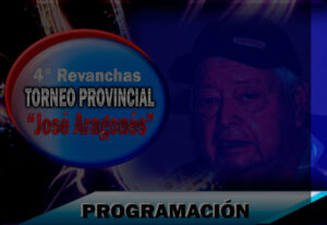 PROGRAMACION-PROVINCIAL-FLYER