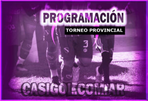 PROGRAMACION-DELPROVINCIAL