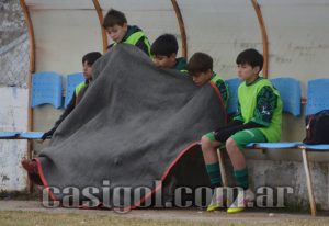CULTURAL-ARGENTINO-FERRO-DE-PICO-FOTO3
