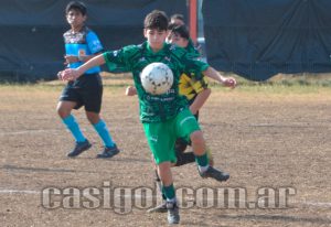 DXT-FERRO-DE-PICO-FOTO2