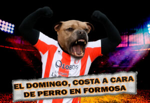 costa-previa-viaja-hoy-a-cara-de-perro